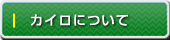 �J�C���v���N�e�B�b�N�Ƃ�