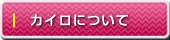 �J�C���v���N�e�B�b�N�Ƃ�